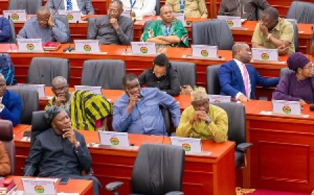 NDC Majority Caucus Backs Call for Cancellation of Ayawaso East Primaries